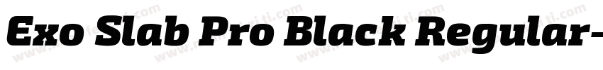 Exo Slab Pro Black Regular字体转换